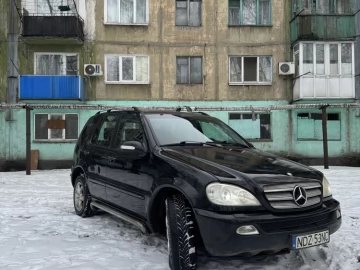 Авто Mercedes Pullmann 2004 № 7434715