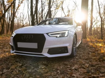 Авто Audi A4 2019 № 7445569
