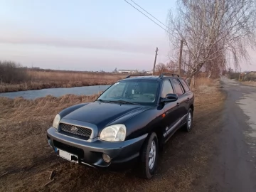 Авто Hyundai Santa Fe 2003 № 7448332