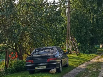 Авто Peugeot 405 1987 № 7453741