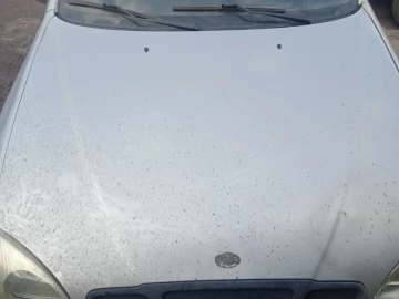 Авто ЗАЗ Lanos 2008 № 7457980