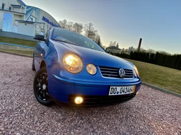 Авто Volkswagen Polo 2003 № 7467380