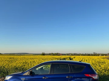 Авто Ford Escape 2015 № 7938442