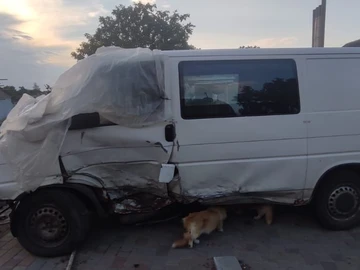 Авто Volkswagen Transporter 2020 № 7950199
