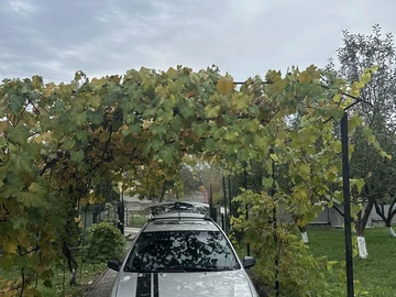 Авто Pontiac Vibe 2003 № 7953058