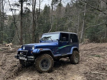 Авто Jeep Wrangler 1994 № 7953226