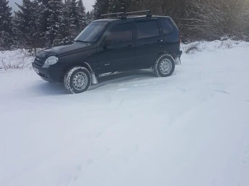 Авто Chevrolet Niva 2008 № 7956656