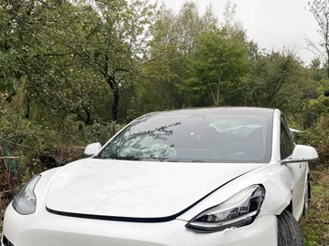 Авто Tesla Model 3 2018 № 7957021