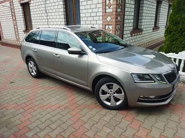 Авто Skoda Octavia 2019 № 7962884