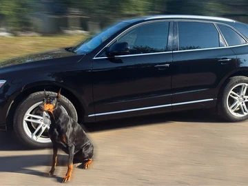 Авто Audi Q5 2015 № 7967900