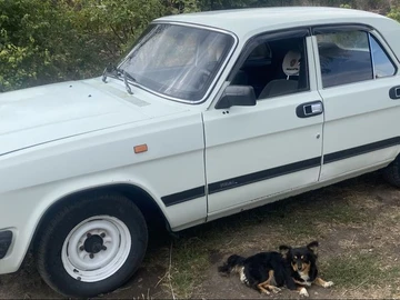 Авто ГАЗ 31029 1993 № 7972044