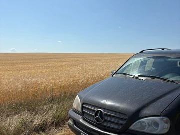 Авто Mercedes Ml Серия 2003 № 7976983