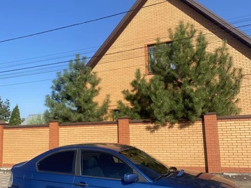 Авто BMW 3 Серия 2001 № 7977824