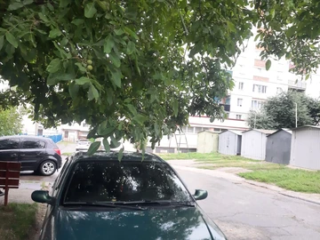 Авто Renault Megane 2003 № 7978220