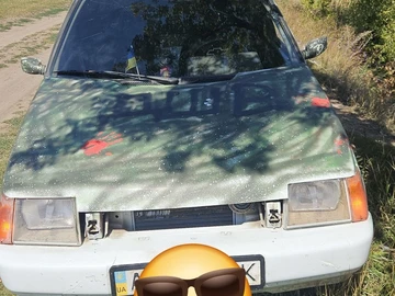 Авто ЗАЗ Таврия 2010 № 7987615