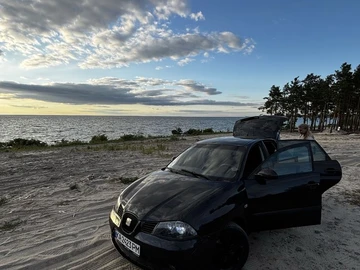 Авто SEAT Ibiza 2007 № 7995307
