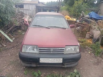 Авто ВАЗ 21099 1993 № 7998499
