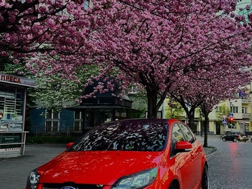 Авто Ford Focus 2013 № 7998879