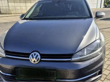 Авто Volkswagen Golf 2017 № 8001414