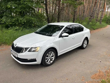 Авто Skoda Octavia 2017 № 8003739