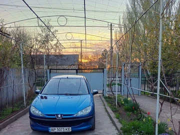 Авто Peugeot 206 2004 № 8003755