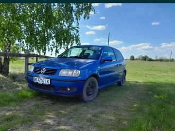 Авто Volkswagen Polo 2001 № 8004449
