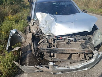 Авто Nissan Qashqai 2008 № 8019513