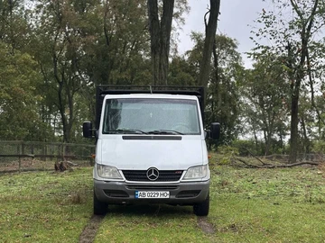 Авто Mercedes Sprinter 2003 № 8020495
