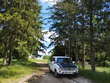 Авто ВАЗ 2101 1979 № 8020834