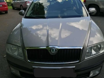 Авто Skoda 100 2009 № 8022116
