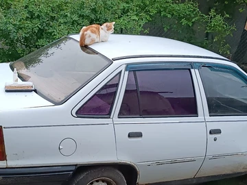 Авто Opel Kadett 1987 № 8027941