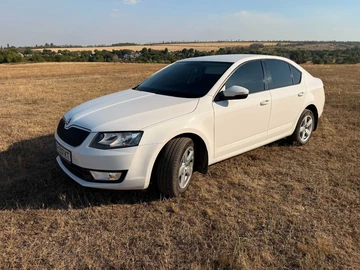 Авто Skoda Octavia 2016 № 8029958