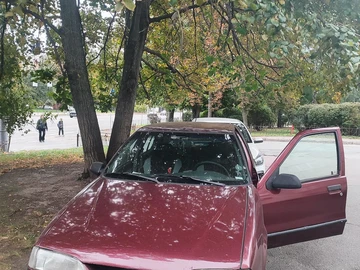 Авто Renault 19 1993 № 8034368