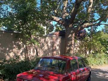 Авто ВАЗ 2103 1976 № 8039038