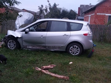 Авто Renault 4 2013 № 8047813