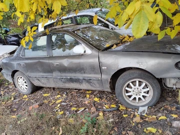 Авто KIA Clarus 1997 № 8051611