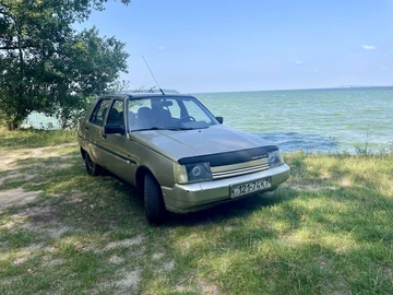 Авто ЗАЗ 1103 Slavuta 2003 № 8056477