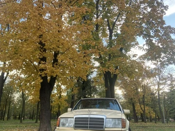 Авто Mercedes 250 1987 № 8060190