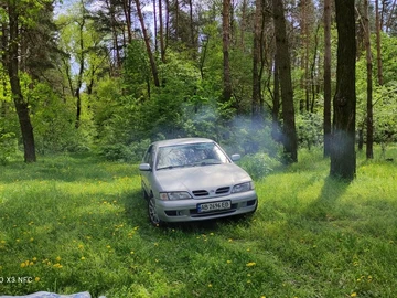 Авто Nissan Primera 1998 № 8060696