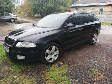 Авто Skoda Octavia 2007 № 8061095