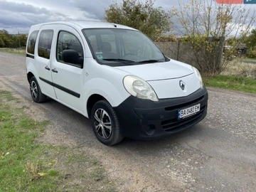 Авто Renault Kangoo Passenger 2009 № 8084758