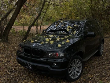 Авто BMW X5 2003 № 8088361
