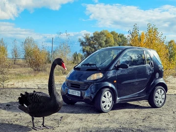 Авто smart Fortwo 2000 № 8088980