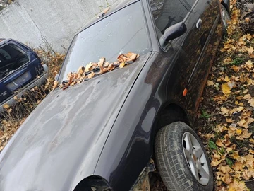 Авто Ford Scorpio 1995 № 8100934