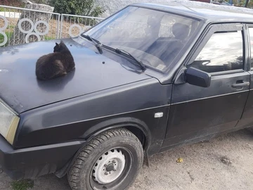 Авто ВАЗ 21099 2007 № 8101088