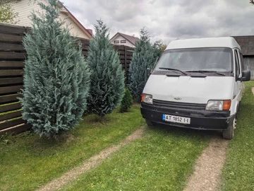 Авто Ford Transit 1987 № 8101946