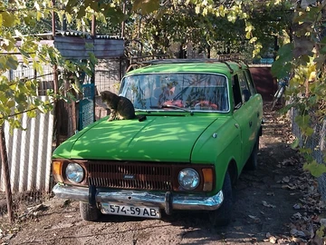 Авто Иж 2125 1984 № 8103746