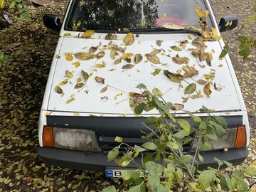 Авто ВАЗ 2109 1992 № 8107030