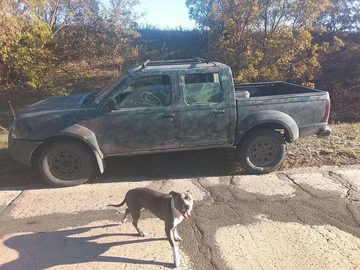 Авто Nissan Navara 2005 № 8122587