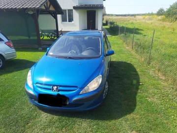 Авто Peugeot 307 2003 № 8127891